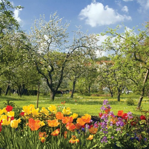 Spring by Gerard Manley Hopkins