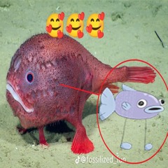 fish around and find out