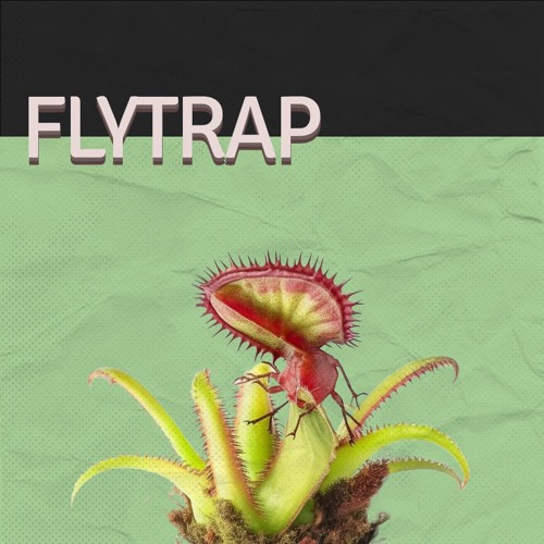 Flytrap(‎RNB X Neo Soul Type Beat)