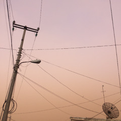 Lavanda Winter Peach