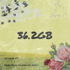 36.2GB