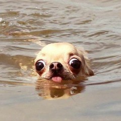 Goofy Ass Mother Fucker