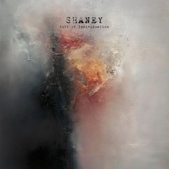 DS Premiere: Shaney - It Never Ends [SLAB008d]