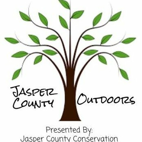 Stream JCO-11/19/20 - River Otters by My Iowa Info | Listen online for