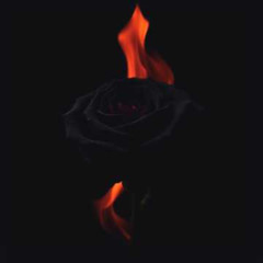 My World Is Burning Around Me 93