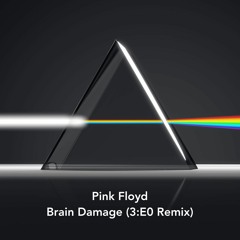 Pink Floyd - Brain Damage (3E0 Remix)