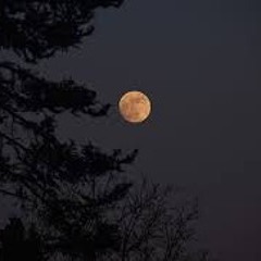 Everyone Has Something To Hide