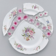 61호 가수〈공원〉 - 나비효과