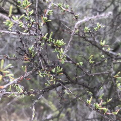 yusk - build your kingdom here