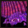 DEKEL @ The Dome - Ozora Festival 2024 DJ mix artwork - Electronic music tracklist cover image