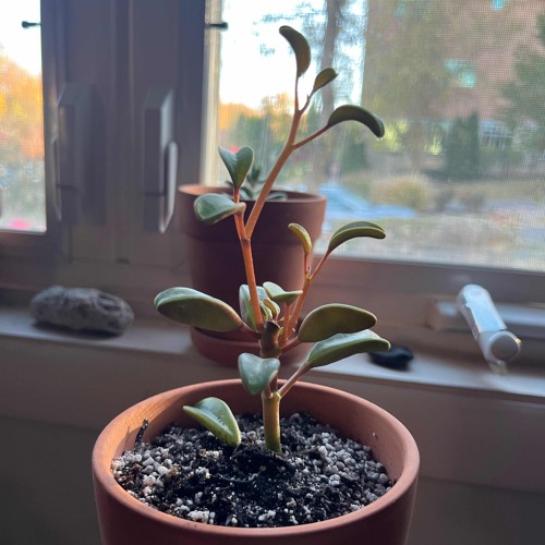 You are all you're meant to beeeee