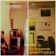 Livingroom Goosebumps [tape]