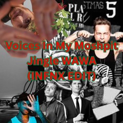 Voices In My Head Jingle WAWA  (INFNX EDIT)