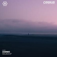 Zammo & Wez Walker - Into You