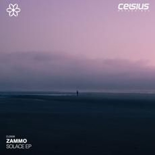 Zammo & Wez Walker - Into You