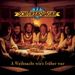 A Weihnacht wie's frueher war (Zillertaler Schürzenjäger) - My Live-Cover