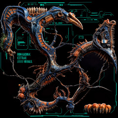 RiNKA & COTRAX -  Hiball