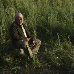 Dead Calm - bleed (instrumental)