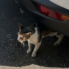 עננים מעליי