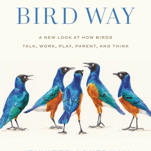 Read The Bird Way: A New Look at How Birds Talk, Work, Play, Parent, and Think