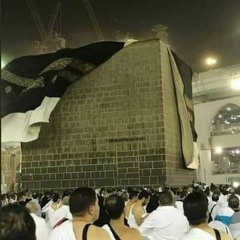 انشودة رائعة فى مدح الرسول:: ومدحت بطيبة طة