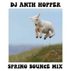 ANTH HOPPER SPRING BOUNCE MIX
