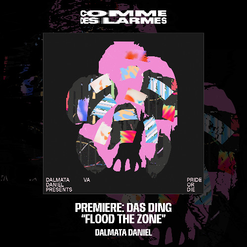 PREMIERE CDL || Das Ding - Flood The Zone |Dalmata Daniel| 2025