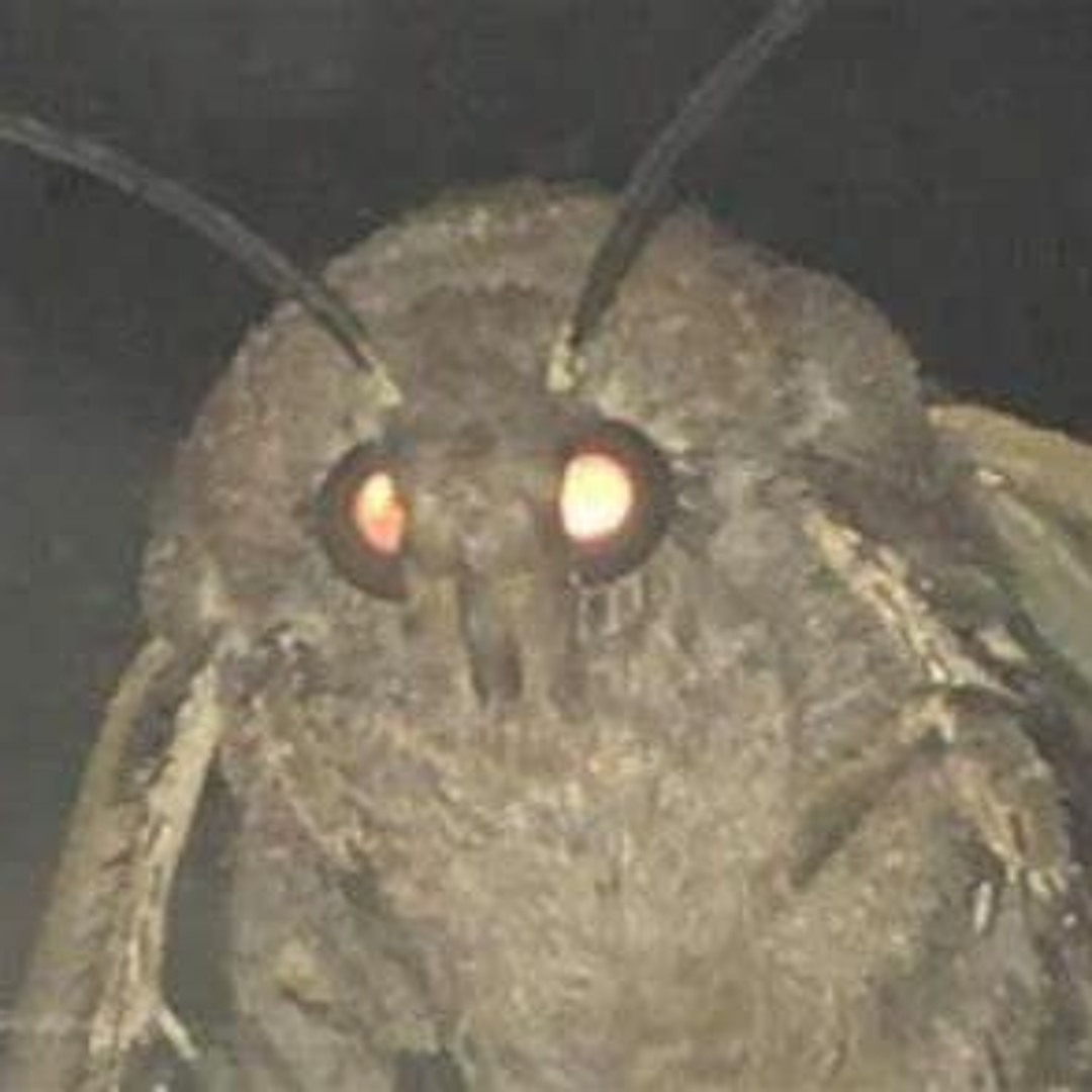 Stream Hollow Knight OST The Radiance but loud by The Hollow Knight ...