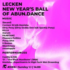 PAARTANZ @ Lecken New Years Ball Part 2