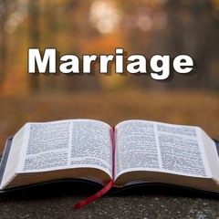 Our Father's Will for Marriage (Part 2)