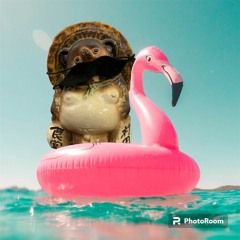 君に会いに行こう(The Worthless cover)