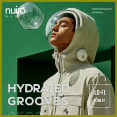 "Hydrated Grooves" - Lo Fi Flow #1