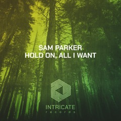 Sam Parker - Hold On (Original Mix Edit)