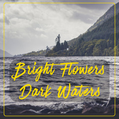 Bright Flowers Dark Waters-0706-25