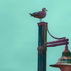 WUNhunnid (prod. Yugoki)