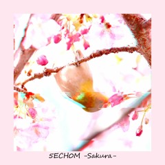 桜 -Sakura-