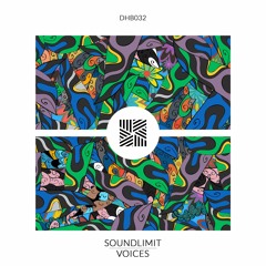 Soundlimit - Elements Bizarres (Nico P Remix)