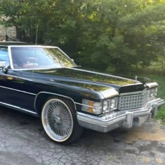 Flossin- Luch and Chewy