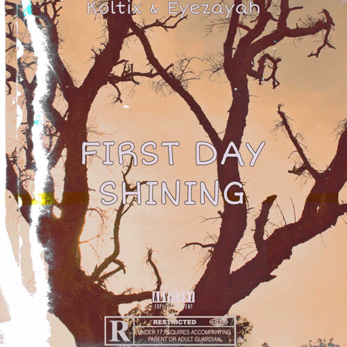 WANT NONE (Ft Koltix)