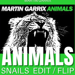 Martin Garrix - Animals (SNAILS FLIP)
