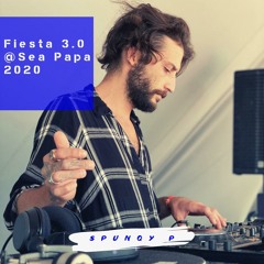 Fiesta 3.0 festival @Sea Papa 2020
