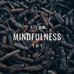 Mindfulness Episode 161