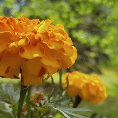 I Know It's Gunna Hurt