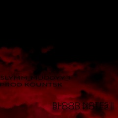 SLYMM_MUDDYY_1 - BLOOD NOTES ll [PROD KOUNT5K]