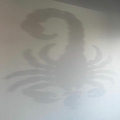 Scorpion Shadow