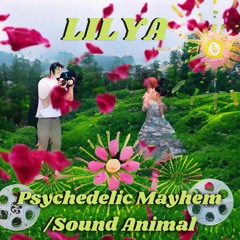 Psychedelic Mayhem / Sound Animal - "Lilya"