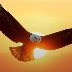 Be a River of Life, remix (Remastered x2)