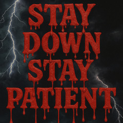 tf is a kaduashi (prod.fluffy4life)