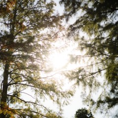 I Thank Him For Loving Me - Akron 2025