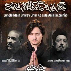 Jungle Main Bhare Ghar Ko Luta Ayi Hai Zainab (s.a)  --  Joan Rizvi  --  2022  -  1444